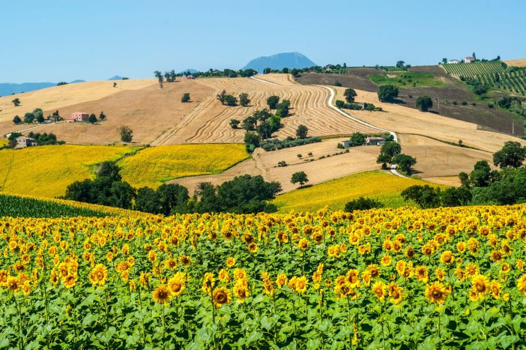 luoghi da visitare nelle Marche