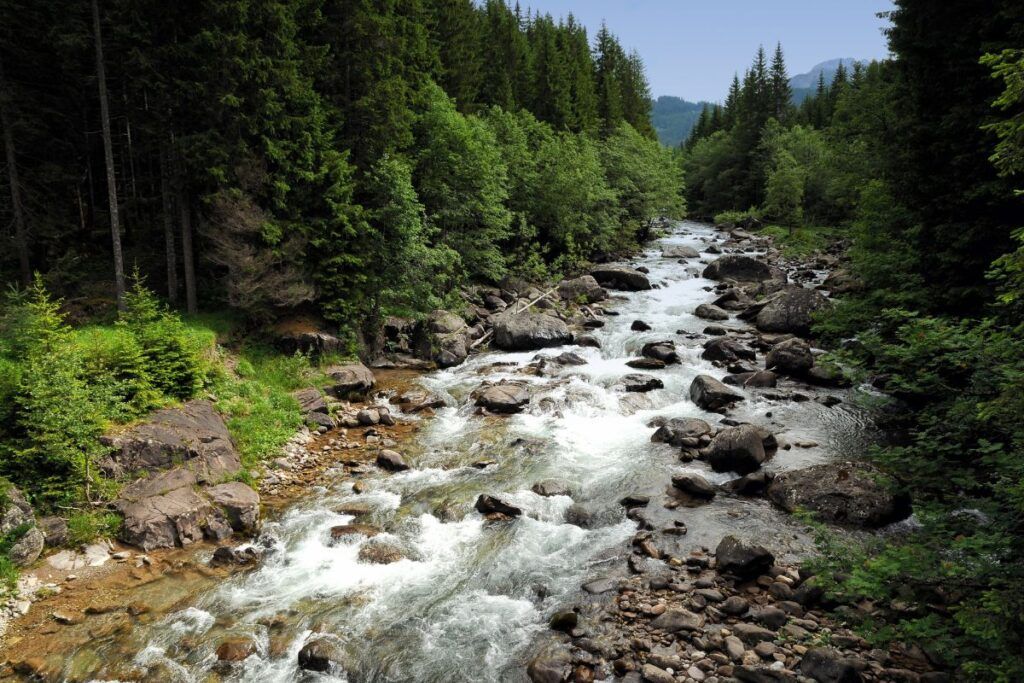 Val di Fiemme