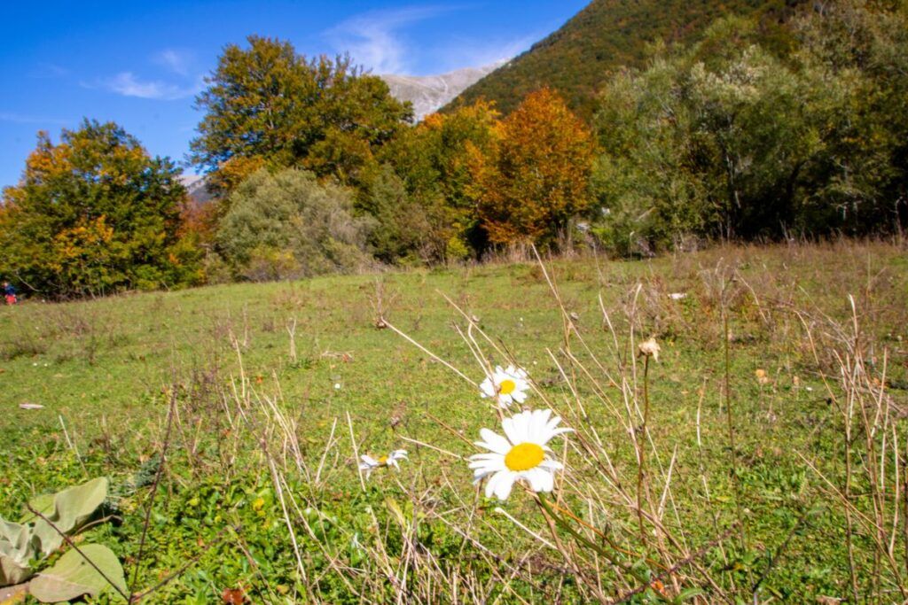 Parco Nazionale d'Abruzzo