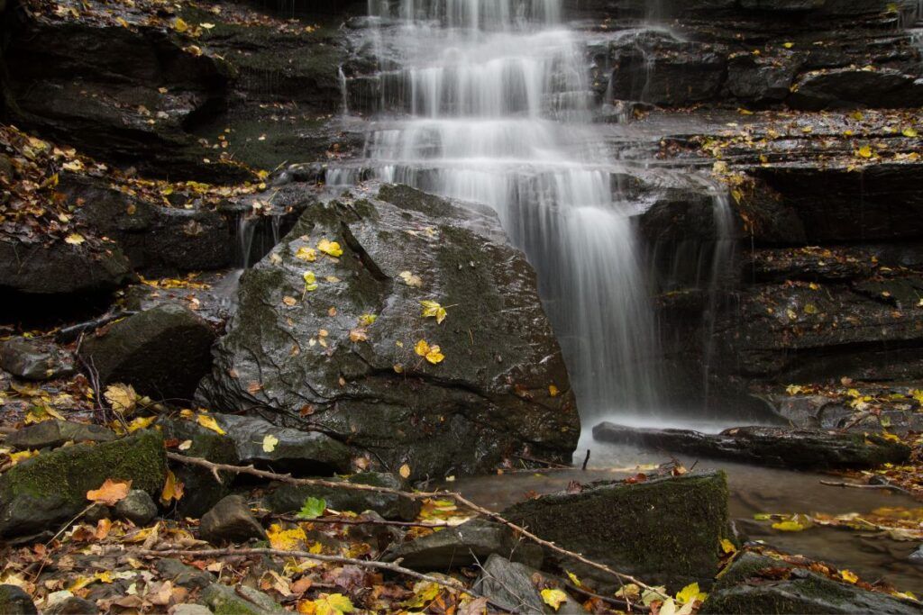 cascata nel Parco delle Foreste Casentinesi