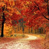 autunno-nel-Centro-Italia-min